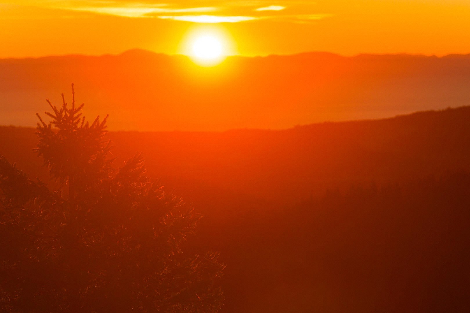 You are currently viewing Novembre 2025