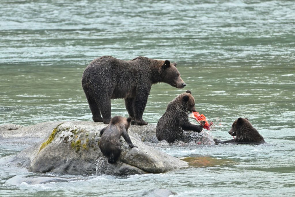 Yukon & Alaska