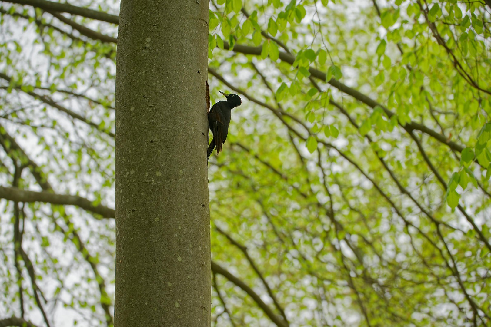 You are currently viewing Le retour du printemps…